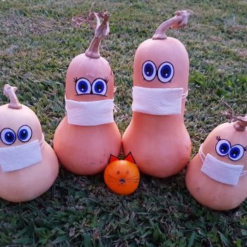 Pumpkin Isolation Family